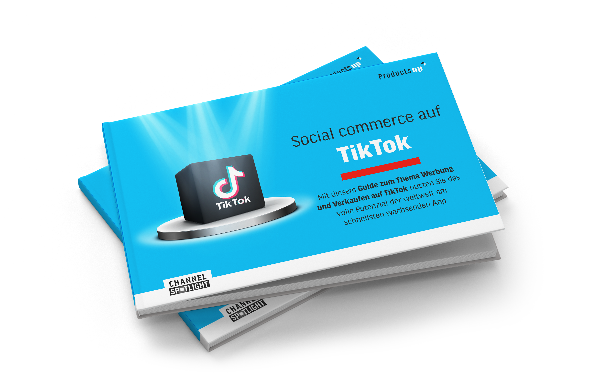 DE Tiktok guide mockup